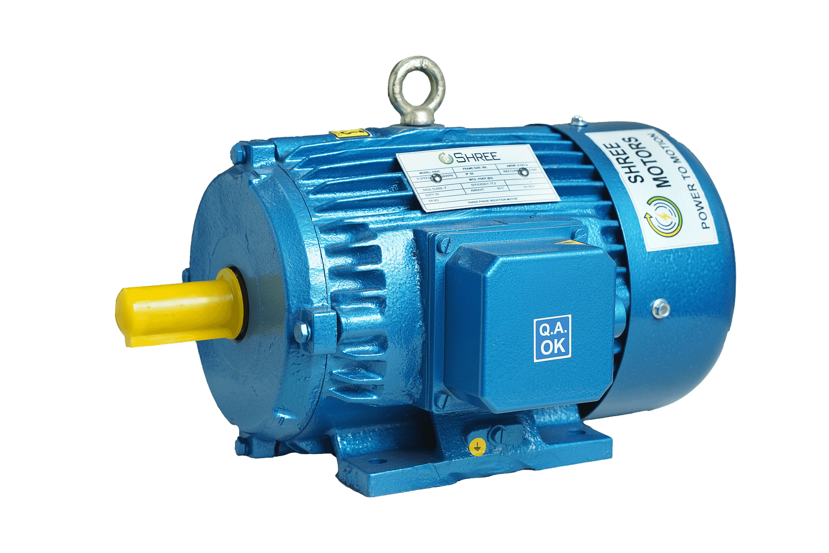 OEM THREE PHASE CAST IRON AC INDUCTION MOTOR