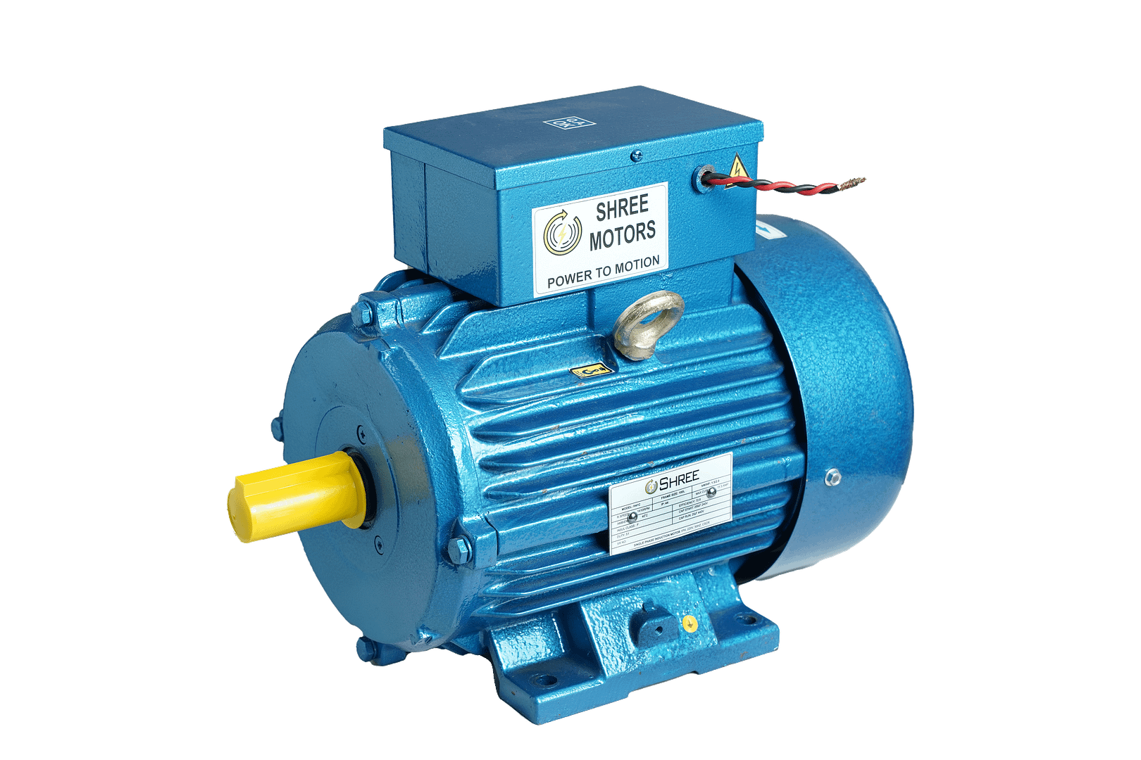 OEM INDUCTION MOTORS