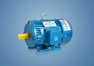 THREE PHASE CAST IRON AC INDUCTION MOTOR